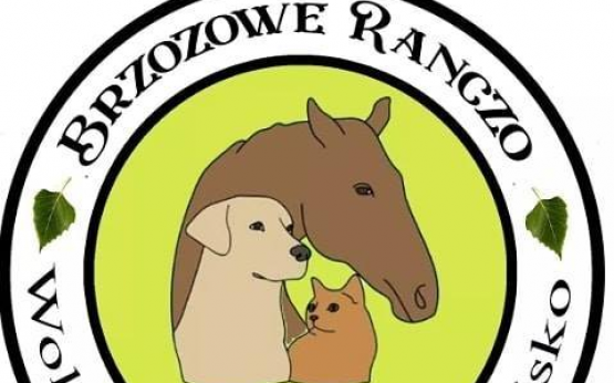 ZBIÓRKA DLA ZWIERZĄT Z DĘBICKIEGO PRZYTULISKA