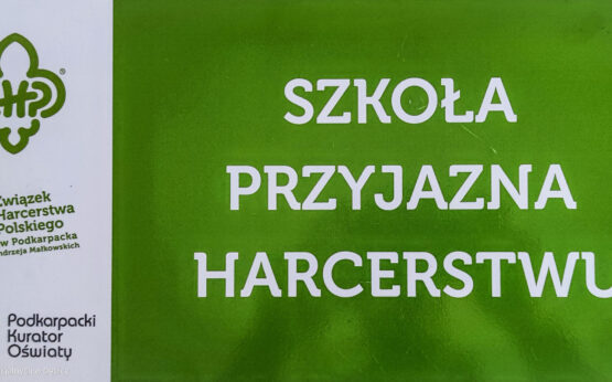Gala Harcerskiego Wolontariatu